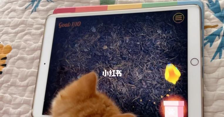 ipad猫咪教程有哪些？如何在iPad上学习猫咪护理？