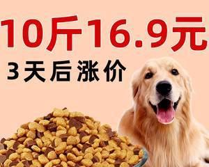 八个月的博美吃多少狗粮？博美犬不同阶段的食量标准是多少？