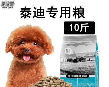 6个月泰迪喂食多少狗粮？泰迪犬幼犬的食量标准是多少？