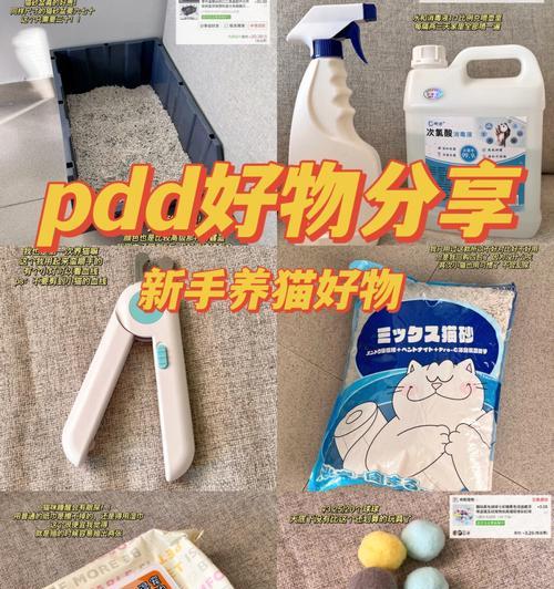 pdd的布偶猫靠谱吗？网购布偶猫有哪些风险？