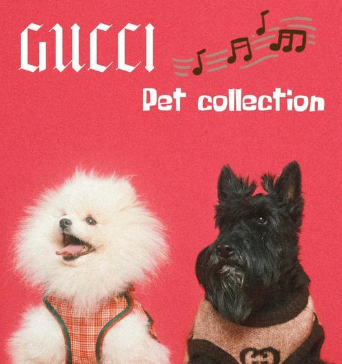 gucci丛林猫咪是什么？Gucci丛林猫咪系列有哪些产品？