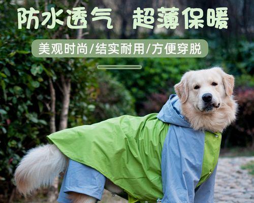 2月拉布拉多犬不能吃什么？拉布拉多犬幼犬的饮食禁忌有哪些？