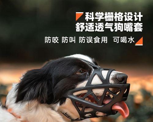 2月拉布拉多犬不能吃什么？拉布拉多犬幼犬的饮食禁忌有哪些？