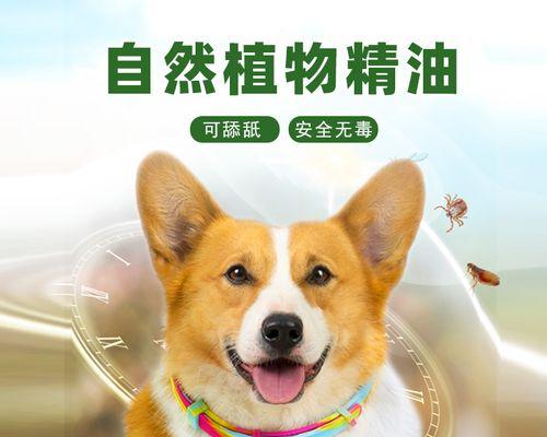 3个月小狗打虫怎么做？幼犬驱虫药怎么选择？