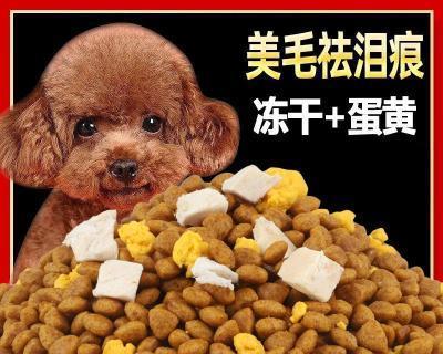 八个月泰迪狗粮要泡吗？泰迪犬幼犬狗粮需要泡软吗？