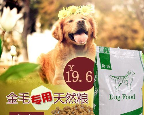 八个月泰迪狗粮要泡吗？泰迪犬幼犬狗粮需要泡软吗？