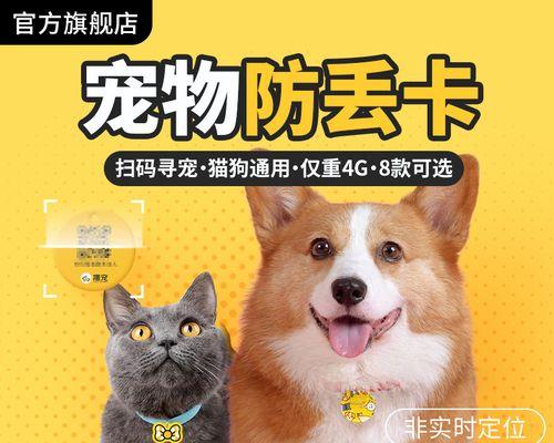 把猫送去丢了怎么办？猫咪丢失后的处理方法是什么？