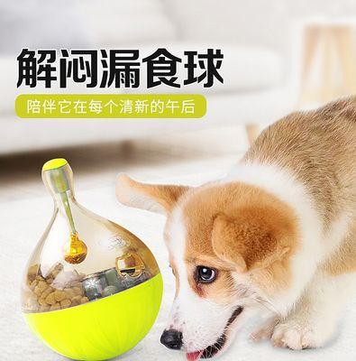 半年泰迪走路摔跤怎么办？泰迪犬走路不稳的原因及解决方法是什么？