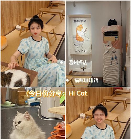 cafe猫咪奶茶是什么？猫咪奶茶的特点和购买渠道有哪些？