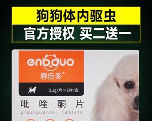 3个月泰迪怎么驱虫药？泰迪犬幼犬的驱虫方法和注意事项是什么？