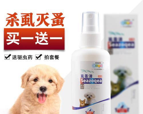 3个月泰迪怎么驱虫药？泰迪犬幼犬的驱虫方法和注意事项是什么？