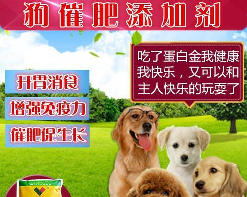 八斤的泰迪吃多少狗粮？泰迪犬不同体重的食量标准是多少？