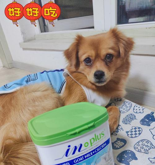 2岁狗狗有必要吃钙片吗？成年犬需要补钙吗？