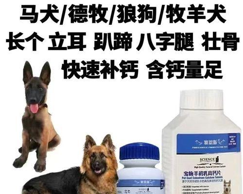 八个月的狗狗能吃骨头吗？狗狗吃骨头的注意事项有哪些？