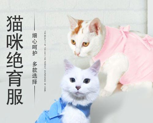 断奶猫咪吃什么药？断奶猫咪用药有哪些注意事项？