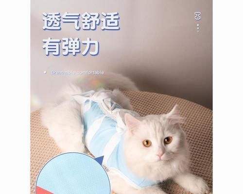 断奶猫咪吃什么药？断奶猫咪用药有哪些注意事项？