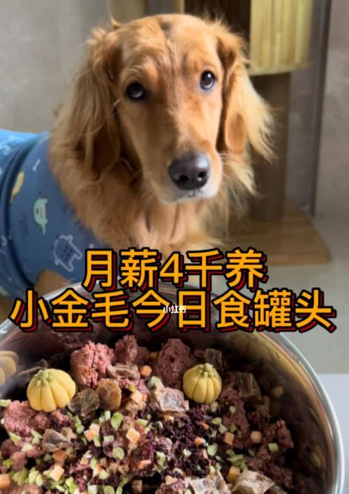 刚一个月的小狗吃什么？一个月小狗饮食建议有哪些？