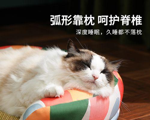 大猫生不小猫怎么办？猫咪难产解决方法有哪些？