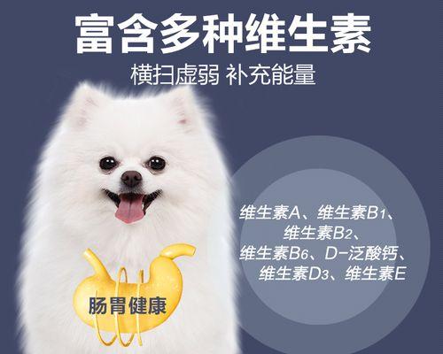 博美狗狗鼻塞怎么办？博美犬鼻塞治疗方法有哪些？