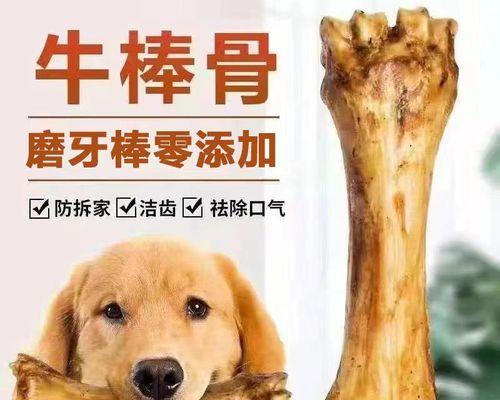 二个月泰迪怎么吃钙片？泰迪幼犬补钙方法有哪些？