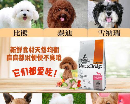 博美1岁喂多少颗狗粮？博美成年犬狗粮摄入量是多少？