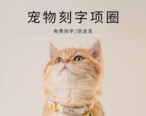 带证的猫丢了怎么办？寻找丢失猫咪的方法有哪些？