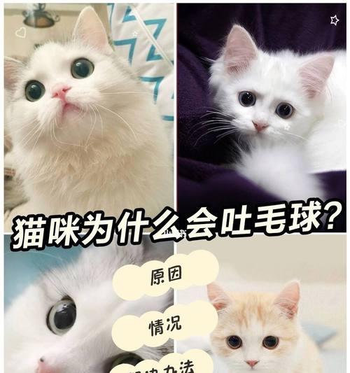 吃什么能让猫咪吐毛球？猫咪吐毛球的食物有哪些？