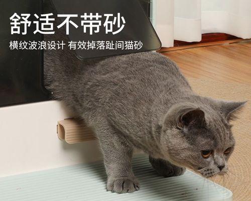 带猫咪外出猫砂怎么带？猫咪外出携带猫砂的方法有哪些？