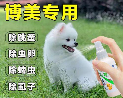 宠物狗什么时候打驱虫？宠物狗驱虫的时间安排有哪些？