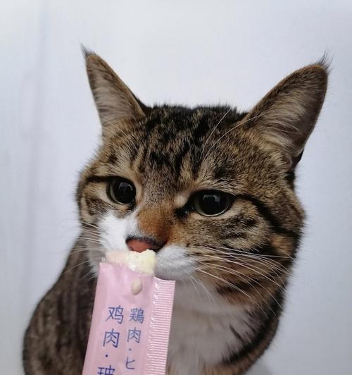 给猫咪吃零食好吗？猫咪吃零食的利弊是什么？