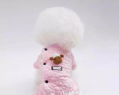 博美狗狗的衣服怎么钩？博美犬服装钩织的方法有哪些？