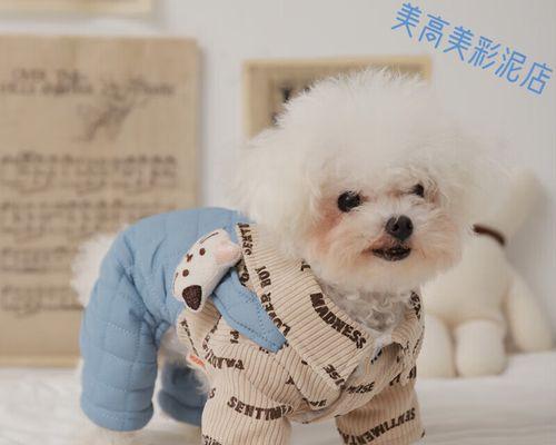 博美狗狗的衣服怎么钩？博美犬服装钩织的方法有哪些？