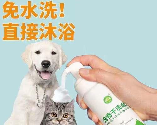 给小猫洗澡不用沐浴露可以吗？猫咪洗澡不用沐浴露的注意事项是什么？