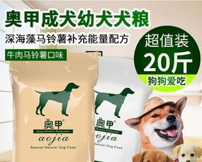 柴犬狗粮哪个好？柴犬狗粮品牌推荐有哪些？