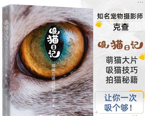 调皮的猫咪日记250字怎么写？猫咪日记的写作技巧有哪些？