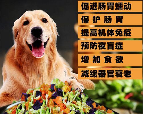 成犬狗粮吃多少合适？成年狗狗狗粮喂食量标准是什么？