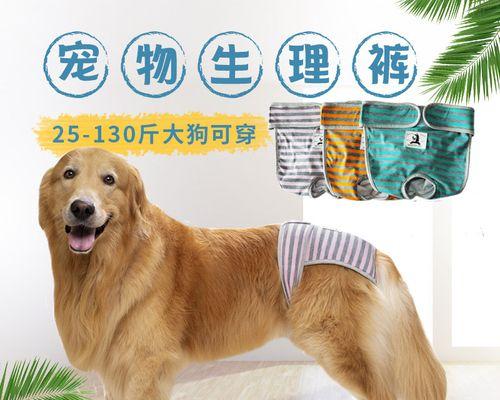 大型犬月经吃什么？大型犬生理期的饮食安排有哪些？