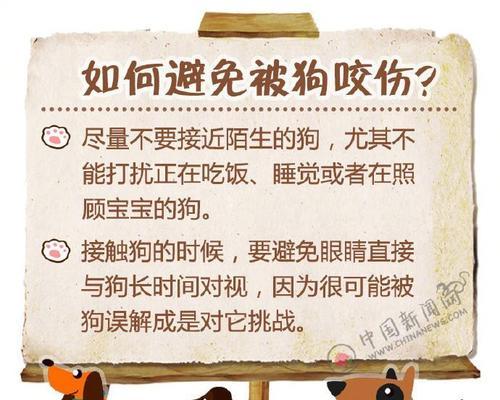 博美被黑狗咬伤怎么办？博美犬被咬伤的护理方法有哪些？