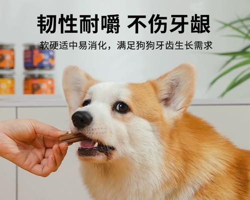 博美被黑狗咬伤怎么办？博美犬被咬伤的护理方法有哪些？