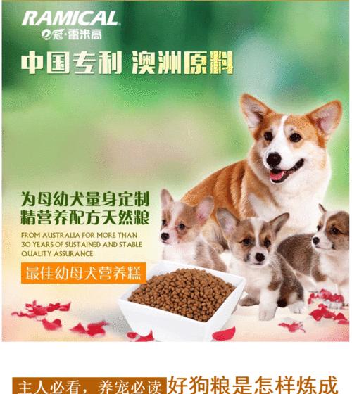 博美狗粮什么口味好？博美犬狗粮口味的选择有哪些？