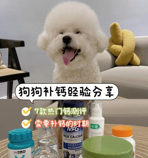 给狗狗补钙什么牌子好？狗狗补钙的品牌推荐有哪些？