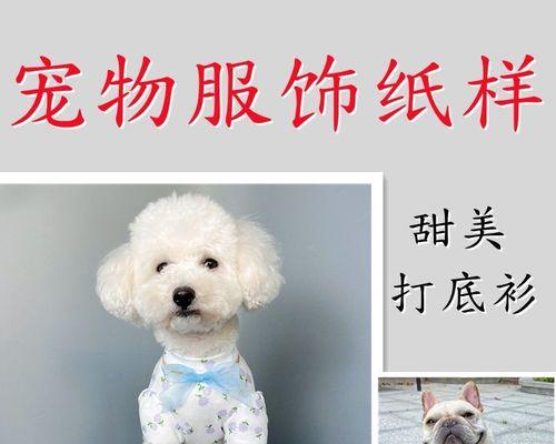 博美幼犬口吐泡沫怎么办？博美幼犬口吐泡沫的原因有哪些？