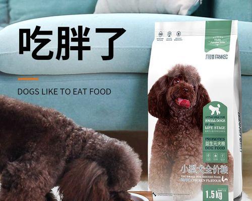 博美适合什么牌狗粮？博美犬狗粮品牌推荐有哪些？