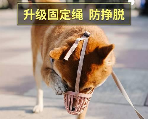 狗狗不让抱咬人怎么办？狗狗不让抱的原因和解决方法是什么？