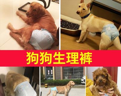 刚出生小狗母狗一直添怎么办？新生小狗母狗舔舐的原因和解决方法是什么？