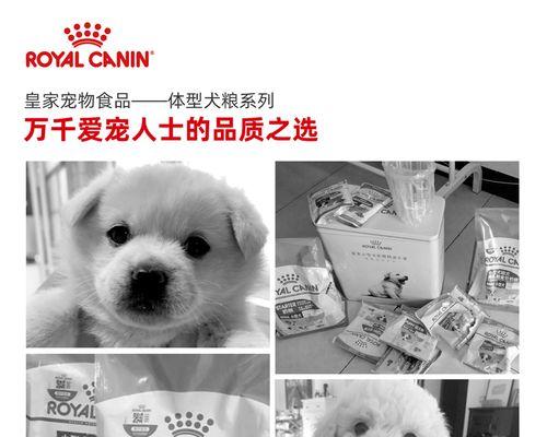 博美幼犬狗粮牌子有哪些推荐？博美幼犬狗粮的选择标准是什么？