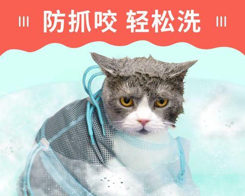 给猫咪洗澡生病了怎么办？猫咪洗澡后生病的处理方法有哪些？