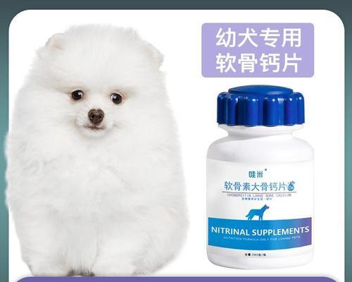 博美狗死之前表现有哪些？博美犬临终前的征兆是什么？