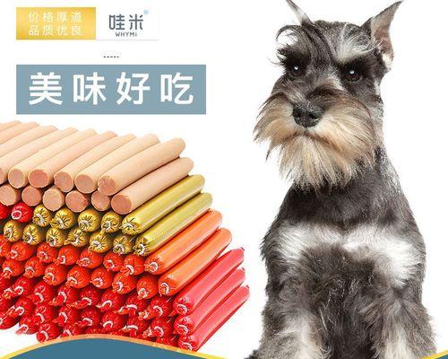 博美狗狗的心脏病怎么办？博美犬心脏病的治疗方法有哪些？