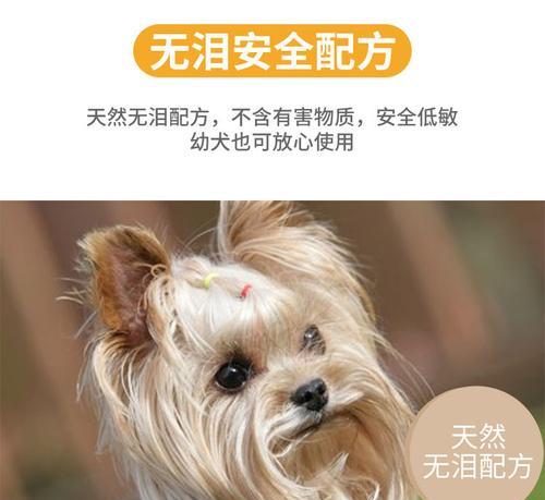 狗狗护毛素用什么好？如何选择适合狗狗的护毛素？